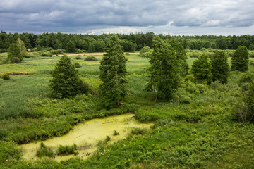 Dolina Narewki, Białowieski Park Narodowy