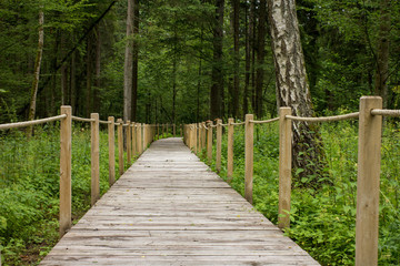 Szlak turystyczny Białowieski Park Narodowy