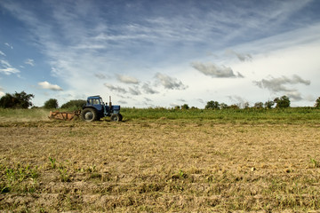 Fototapeta premium Tractor in the field