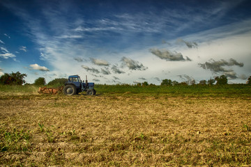 Obraz premium Tractor in the field