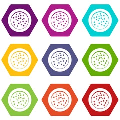 Fototapeta premium Peppercorns on a plate icon set color hexahedron