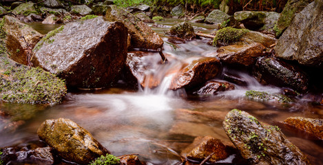 Naklejka premium Bach, Wasserlauf im Erzgebirge Wald Langzeitbelichtung