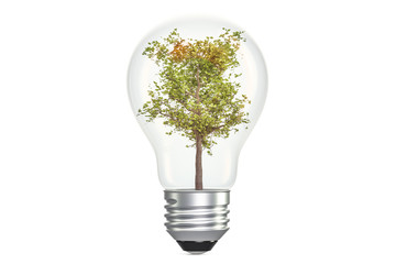 Tree inside light bulb, ecological concept. 3D rendering