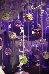 Beautiful background with butterflies showcase