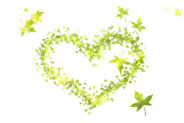 Autumn heart of maple leaf