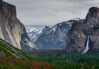 Fototapeta premium yosemite park - california