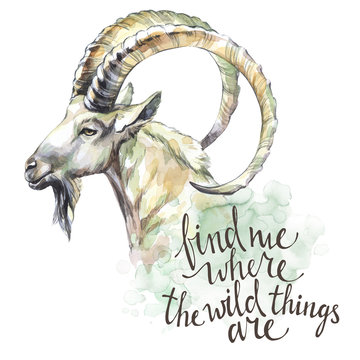 Watercolor goat with handwritten inspiration phrase. Mountain animal. Wildlife art illustration. Can be printed on T-shirts, bags, posters, invitations, cards, phone cases.