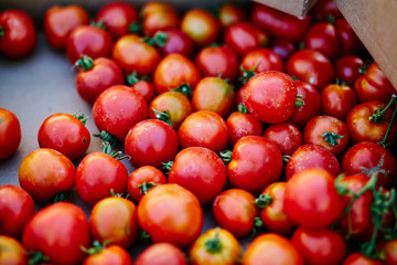 box of beautiful red tomatoes