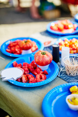different tomato varieties on plates for tasting