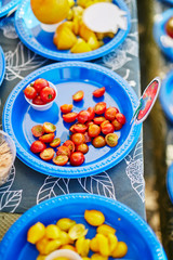 different tomato varieties on plates for tasting