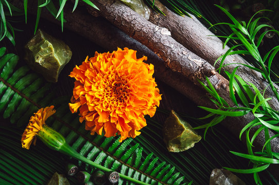 Marigold Flowers with Botanicals Stones