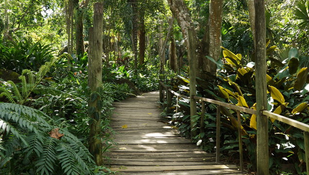 Weg im Garten