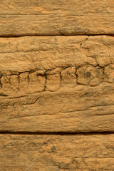 weathered demolition wood section texture detail