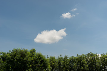 Obraz premium blue sky background with clouds and tree
