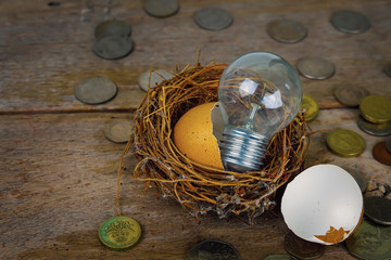 Scattered Coins with Light Bulb and Eggshel for Banking and Financial Concept