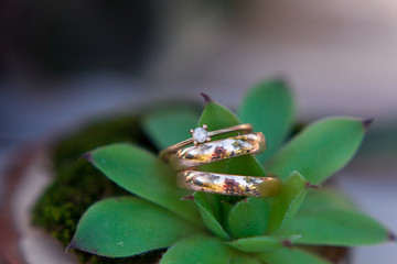 Wedding ring laying on succulent. Beautiful gold wedding rings with diamonds.
