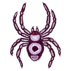 Halloween colour spider stipple drawing isolated. Insects spider in trendy embroidery stippling and hatching, shading style. Vector.
