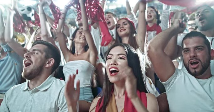Fans cheer at the stadium