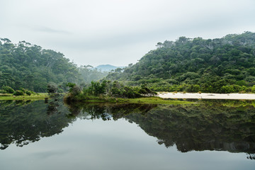 Surprise Bay