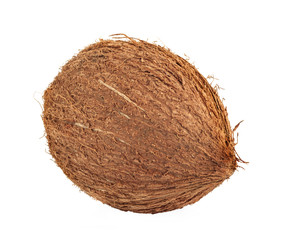  brown coconut on white background