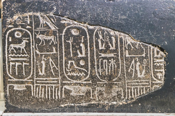 アメンエムハト３世のスフィンクス