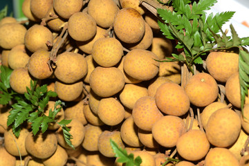 Dimocarpus longan fruits  in Thailand.