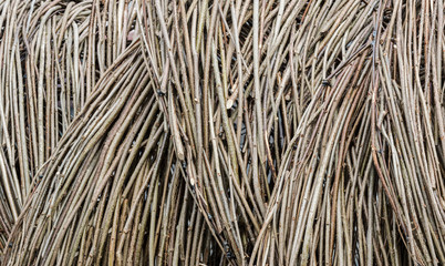 dry twig fence as textured background. natural material backdrop surface.