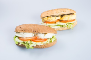 sandwich or tasty egg sandwich on background.
