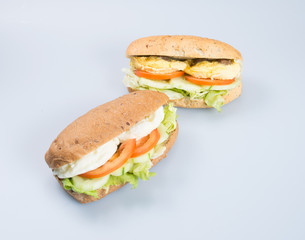 sandwich or tasty egg sandwich on background.