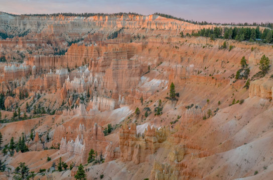 panoramic view of Bryce Canyon at sunrise
Sunrise Point, Bryce Canyon National Park, Utah, United States