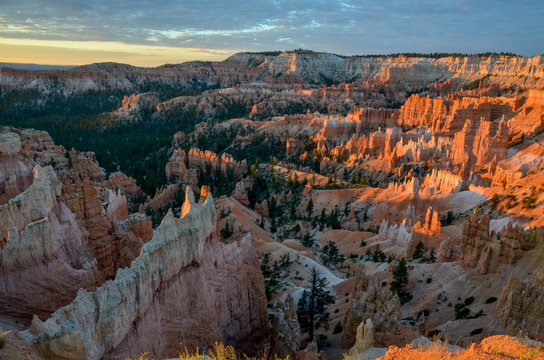 panoramic view of Bryce Canyon at sunrise
Sunrise Point, Bryce Canyon National Park, Utah, United States