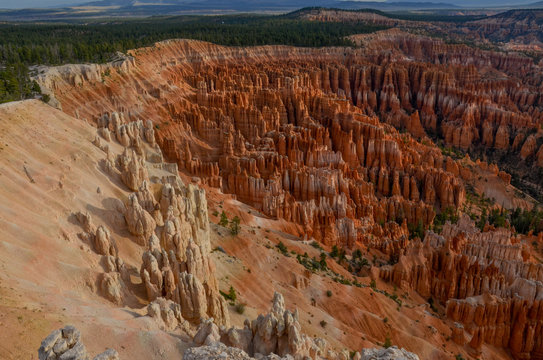 panoramic view of Bryce Canyon in the morning from Inspiration Point
Bryce Canyon National Park, Utah, United States