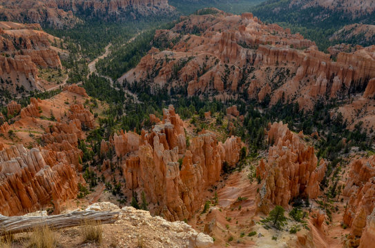 looking down Bryce Canyon from Upper Inspiration Point
Bryce Canyon National Park, Utah, United States