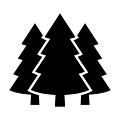 Three conifer pine trees in a forest or park simple vector icon for nature apps and websites