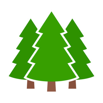 Three conifer pine trees in a forest or park simple vector color icon for nature apps and websites