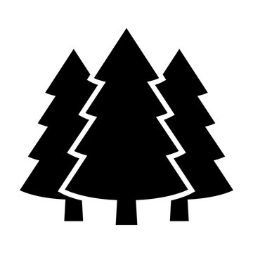 Three conifer pine trees in a forest or park simple vector icon for nature apps and websites