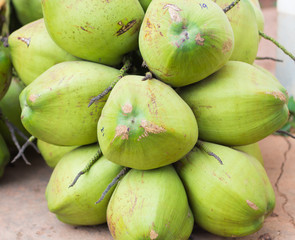 Closer Coconut cluster