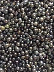 Freshwater Pearls