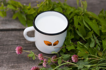 a cup of milk with clover