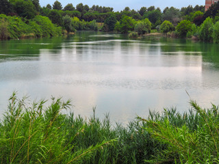 Fototapeta na wymiar Rimini - Pond in the public park