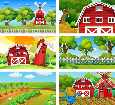 Six different scenes of farm