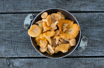  fresh chanterelles