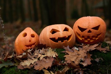 Three different orange pumpkins with big eyes, prepared for Halloween, among leaves in forest. Celebrating autumn holiday. Hand made decor for party.