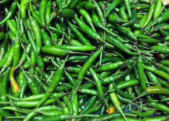 Pile of Green small Chili in the tray. Texture background of green pepper heap.