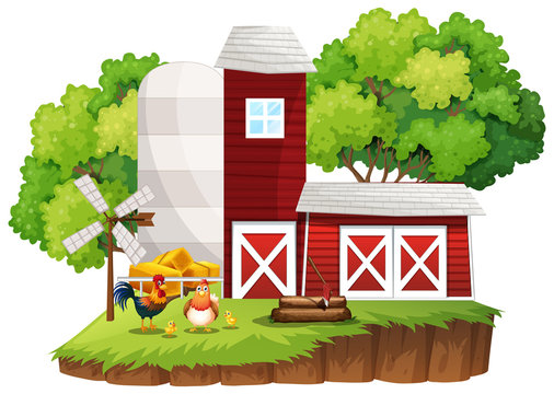 Farm scene with chickens by the barns
