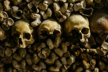 Bones, skeletons and skulls