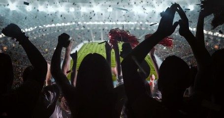 Fans cheer at the stadium