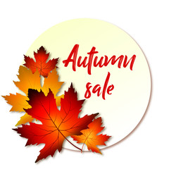 A bouquet of maple leaf with a round frame and an inscription autumn sale. Vector illustration on a white background