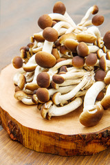  group of mushrooms on  wood table