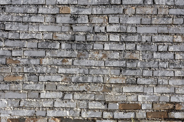 Wall texture